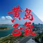 黄岛正气ico