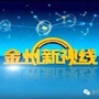 金州新视线ico