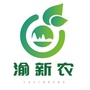 渝新农ico