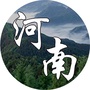 在外河南老乡ico