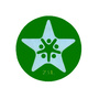 灿烂中三里ico