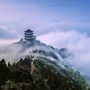 通川政务服务ico