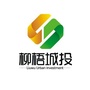 柳梧城投ico