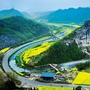 绿影扬溪ico