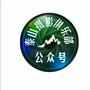 泰山摄影俱乐部ico