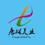 TL唐林美业ico