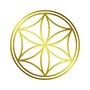 财富大院ico