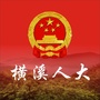 横溪人大ico