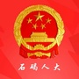 石碣人大ico