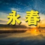 永春老乡网ico