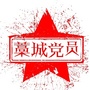 藁城党员e家ico