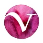 Veramonte翠岭ico