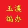 玉溪编办ico