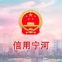 信用宁河ico
