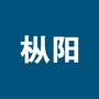 枞阳知生活ico