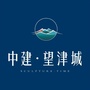 中建望津城ico