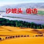 沙坡头区信访督办局ico
