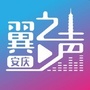 安庆电信微平台ico