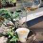 金源茶院公众号ico