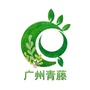 青藤 Fan领域公众号ico