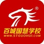 百城国慧ico