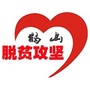 鹤山脱贫攻坚ico