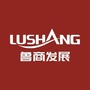 鲁商发展济南城市公司ico