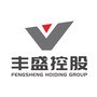 丰盛控股集团ico