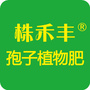 株禾丰ico