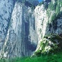 通粉情感公众号ico
