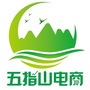 五指山电商ico