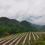法润高坪ico
