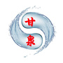 新甘泉ico