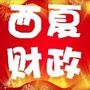 西夏财政ico