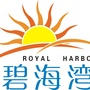 廉正碧海公众号ico