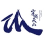 穿越天山ico