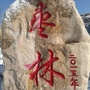 枣林脱贫ico