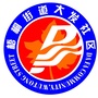 秀雅大发ico