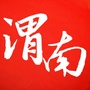 咱渭南ico