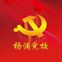 杨浦区委党校ico