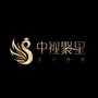 中视聚星联盟ico