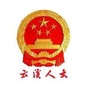 云溪人大常委会ico