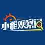 小雅观察间ico