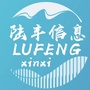 陆丰信息ico