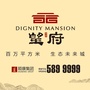 灵石望府ico