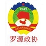 罗源政协ico