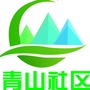 同乐街道青山社区ico