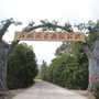 石湖发布ico