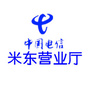 中国电信乌鲁木齐米东营业厅ico