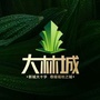 盘州大林城营销号ico